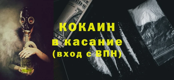 индика Балабаново