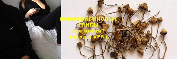 тгк Баксан