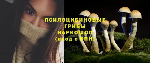 индика Балабаново