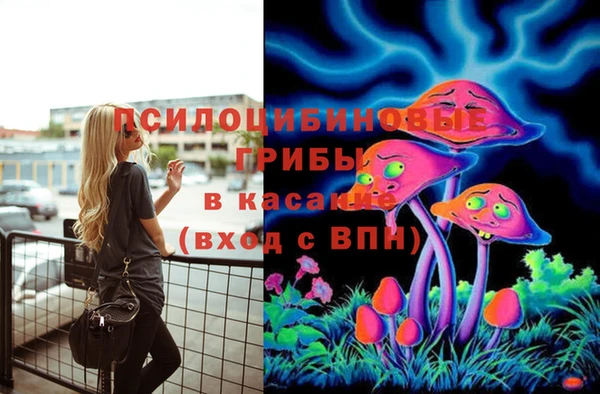 тгк Баксан