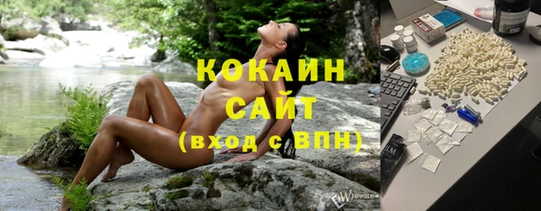 индика Балабаново