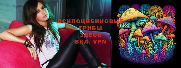индика Балабаново