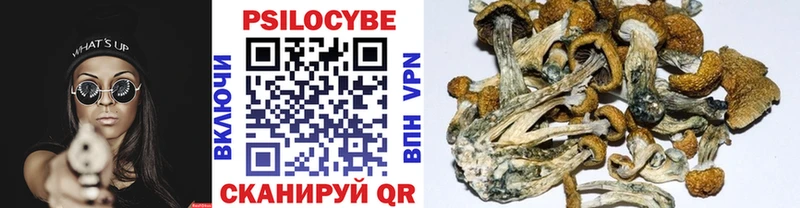 Галлюциногенные грибы GOLDEN TEACHER  даркнет сайт  маркетплейс официальный сайт  Велиж 